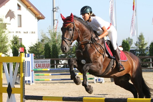 Prima competiţie de obstacole organizată de Clubul Equestria | Concursul are loc în perioada 4-7 mai lângă Bucureşti