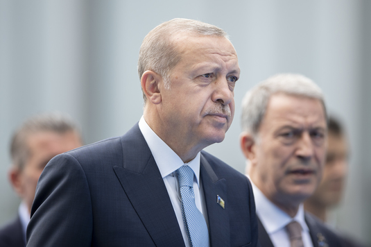 Preşedintele Turciei condamnă tratamentul rasist la care este supus Mesut Ozil în Germania