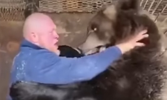 VIDEO | Momentul în care un luptător MMA se ia la trântă cu un urs: ”A fost un adversar bun pentru mine”