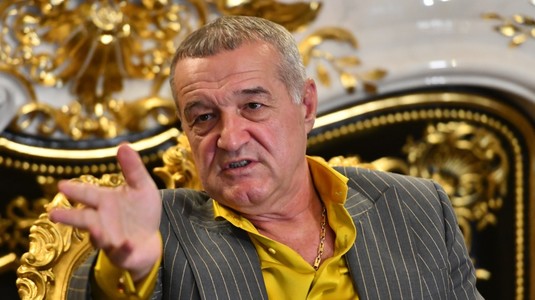 Gigi Becali şi-a făcut planurile pentru alegerile parlamentare: "Facem 30%! Peste două săptămâni poate mă vedeţi în Guvern"