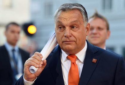 FCSB vs. unul dintre "copiii" lui Viktor Orban. Legătura dintre Backa Topola şi Sepsi OSK