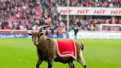 Mascota celor de la Koln nu mai are voie pe stadion. Care este motivul