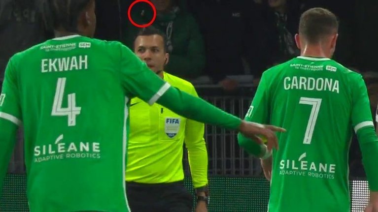 Şapte luni de închisoare cu suspendare pentru doi suporteri care au aruncat cu o monedă în arbitru la meciul Saint-Etienne - Lyon