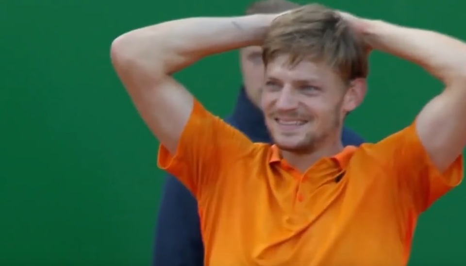 //i0.1616.ro/media/581/3142/38122/19494237/1/goffin1.jpg