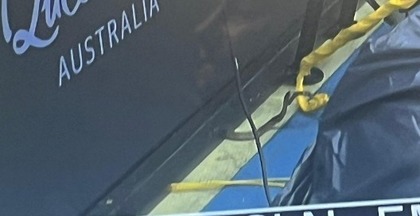 Bun venit în Australia! Meciul fostului câştigător de Grand Slam a fost întrerupt de un şarpe veninos