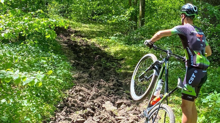 Ministrul Mediului, poziţie fermă despre potecile de ciclism distruse. ”Este inadmisibil ca Romsilva să se opună unor activităţi sportive, recreative în pădure”