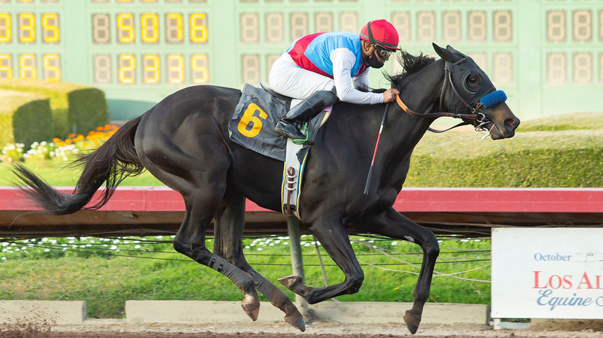 Caz de dopaj în hipism! Medina Spirit, calul câştigător la Kentucky Derby, testat pozitiv cu un steroid 