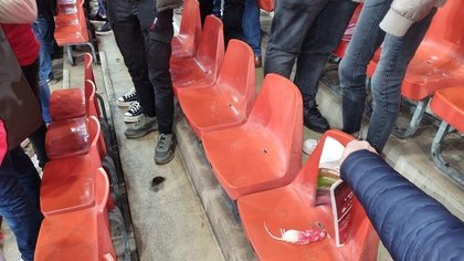 Imagini şocante la meciul Standard Liege – Charleroi. Fanii echipei oaspete au aruncat cu şobolani morţi către suporterii adverşi