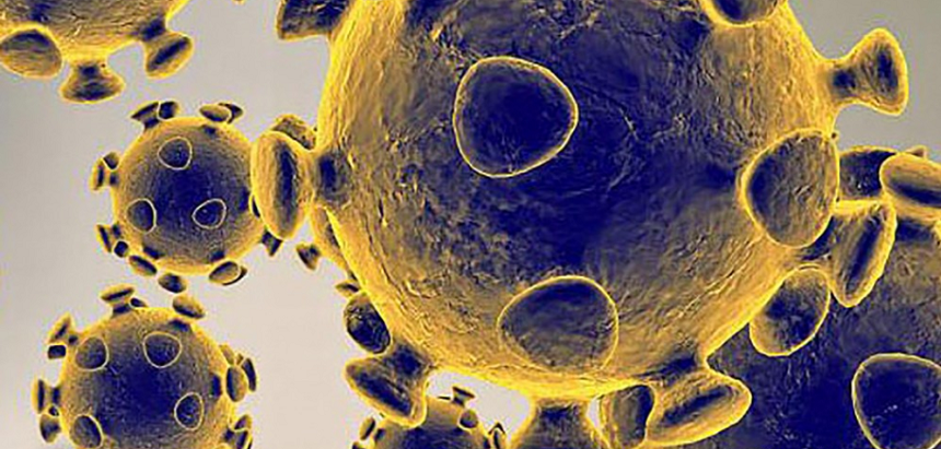 Caz de coronavirus la echipa de rugby CSM Ştiinţa Baia Mare, după revenirea din Africa de Sud