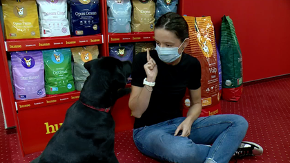 VIDEO | Faceţi cunoştinţă cu Duras, cel mai bun prieten al scrimerei Ana-Maria Brânză. Câinele sportivei are o viaţă la fel de disciplinată ca ea: "Hrana îi este adusă acasă"
