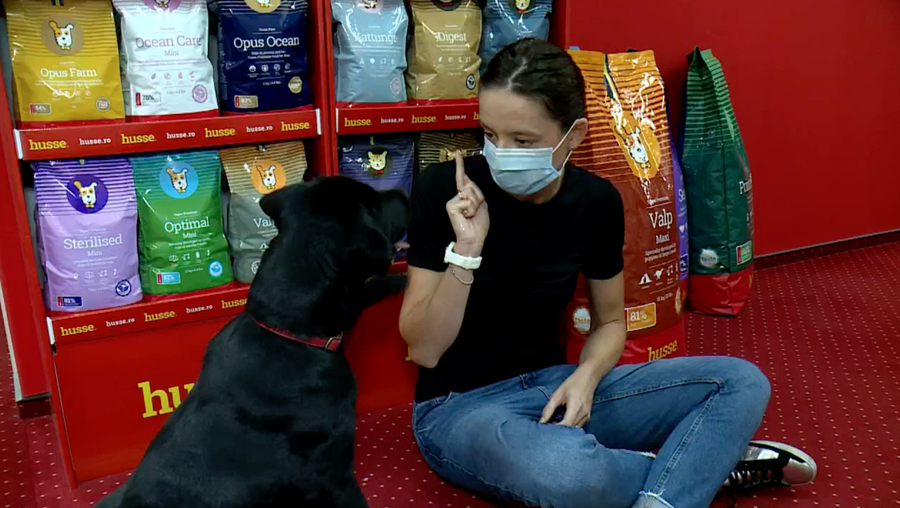 VIDEO | Faceţi cunoştinţă cu Duras, cel mai bun prieten al scrimerei Ana-Maria Brânză. Câinele sportivei are o viaţă la fel de disciplinată ca ea: "Hrana îi este adusă acasă"