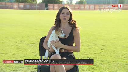 Star Pet aduce în prim-plan legătura dintre sportivi şi animalele lor de suflet! Emisiunea prezentată de Teodora Stoica, fiica lui Mihai Stoica, se vede în direct pe Prima Sport!