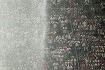 S-a abătut potopul asupra arenei din Dortmund. Meciul Germania – Danemarca, întrerupt