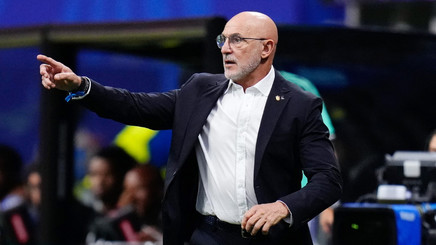 De la Fuente a dezvăluit tactica Spaniei din semifinala cu Franţa: "Am analizat atent!"
