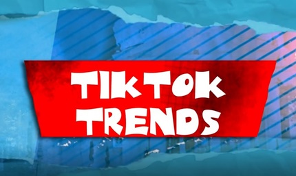 Cronica Cârcotaşilor: Cele mai virale videoclipuri de pe TikTok