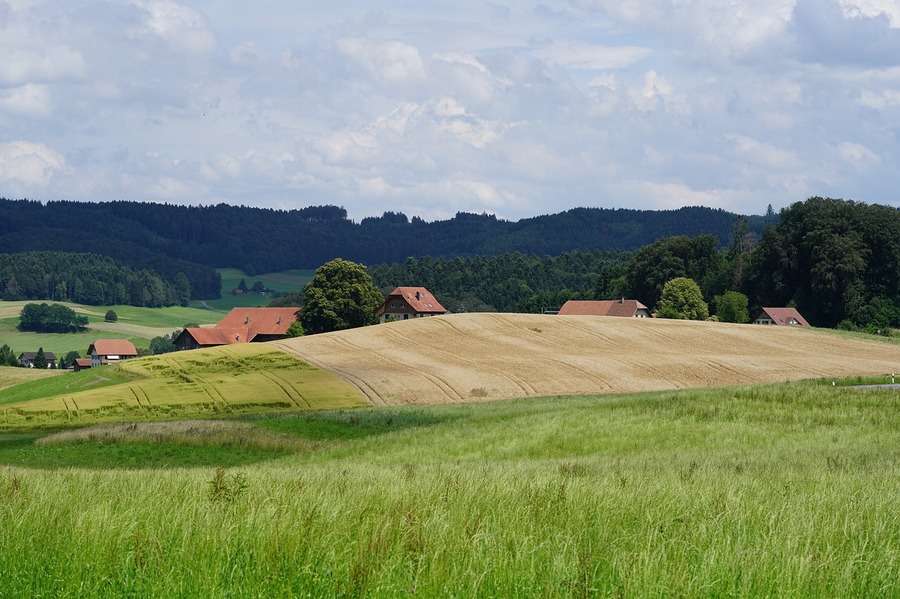 Viaţa la ţară