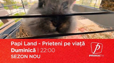 Papi Land - prieteni pe viaţă, reality show dedicat iubitorilor de animale, duminică, la Prima TV