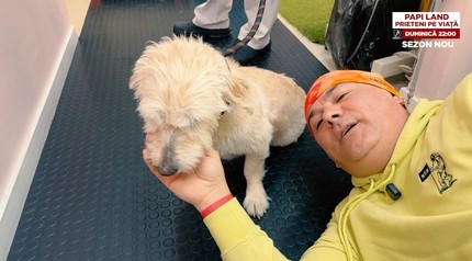Papi Land - prieteni pe viaţă, reality show dedicat iubitorilor de animale, duminică, la Prima TV