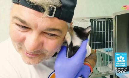 Papi Land - prieteni pe viaţă, reality show dedicat iubitorilor de animale, duminică, la Prima TV