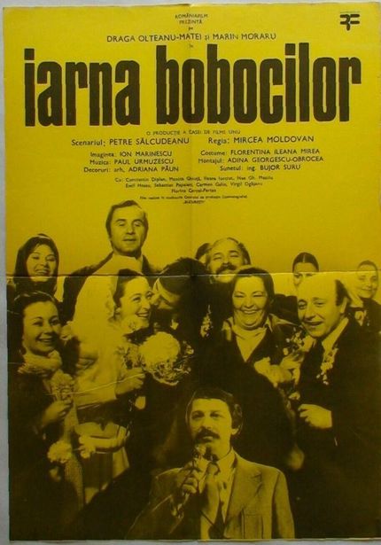 IARNA BOBOCILOR