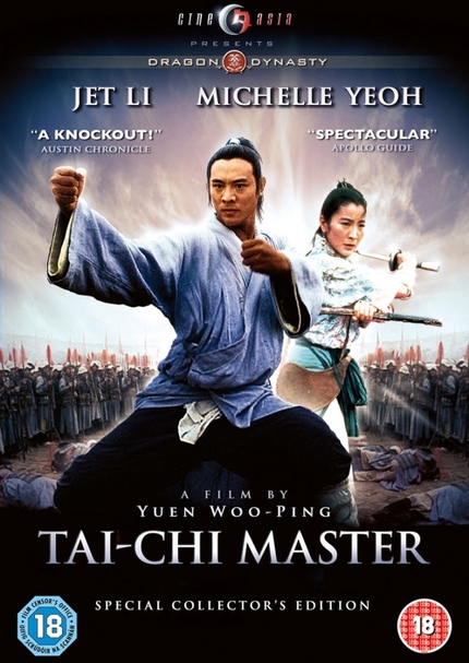 MAESTRUL TAI CHI
