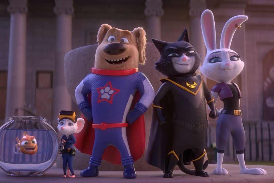 CÂINELE STELAR ŞI TURBOMOTANUL