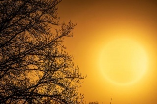 Canicula topeşte România! Peste 40 de grade Celsius la umbră