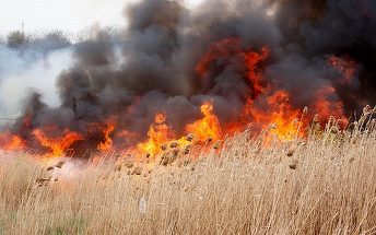 500 de incendii de vegetaţie într-o săptămână