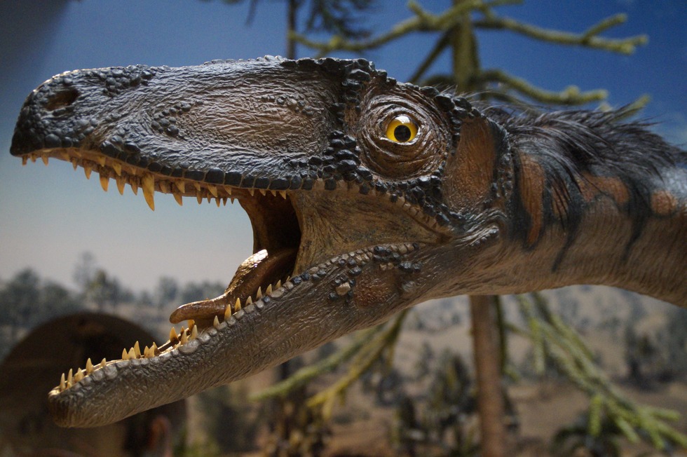 Dinozauri în Bazinul Haţeg. Specialiştii au descoperit mai multe fosile