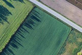 Derogare pentru terenurile în pârloagă. Comisia Europeană face un pas înapoi după protestele fermierilor