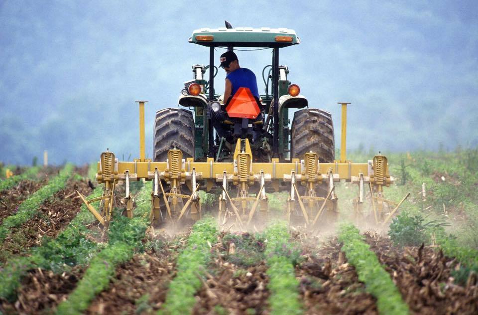 Veşti bune pentru fermieri. Dispare pârloaga, iar rotaţia culturilor poate fi înlocuită cu diversificarea lor