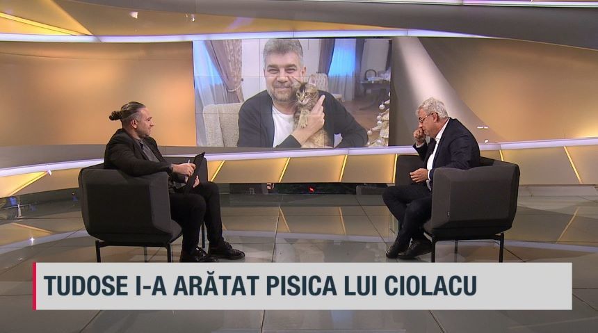 VIDEO. Mihai Tudose povesteşte, la Insider politic, cum i-a oferit lui Ciolacu o pisică