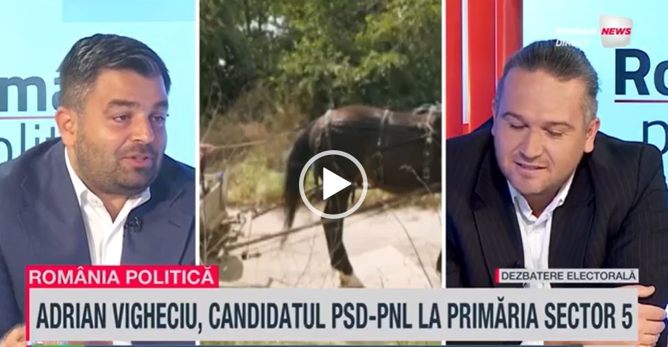 VIDEO. Candidatul care a ieşit la plimbare cu calul şi vaca prin Bucureşti, la România politică: Am vrut să trag un semnal