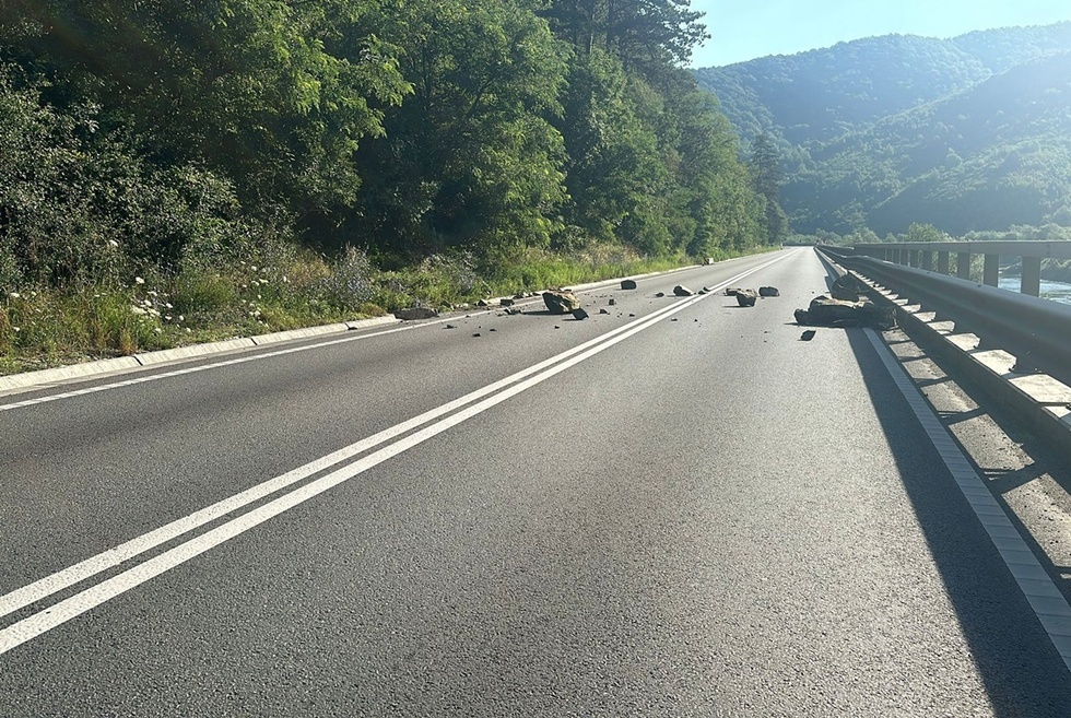 VIDEO. Valea Oltului - A fost defrişat 20% din 10 hectare de pădure