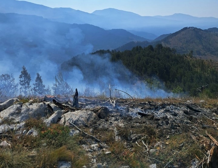 MApN: Au fost identificate resturi de la o dronă rusească de tip Geran1/2, în apropierea localităţii Plauru, din judeţul Tulcea, în urma incidentului de miercuri noapte 