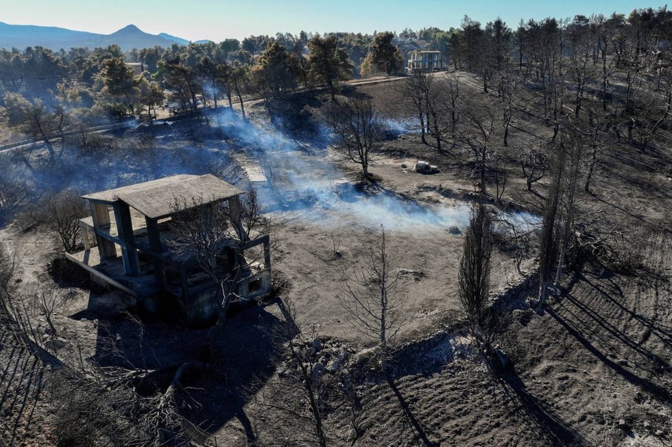 VIDEO. Incendiile de vegetaţie de lângă Atena au lăsat scrum şi ruine în urma lor: "A fost iadul"