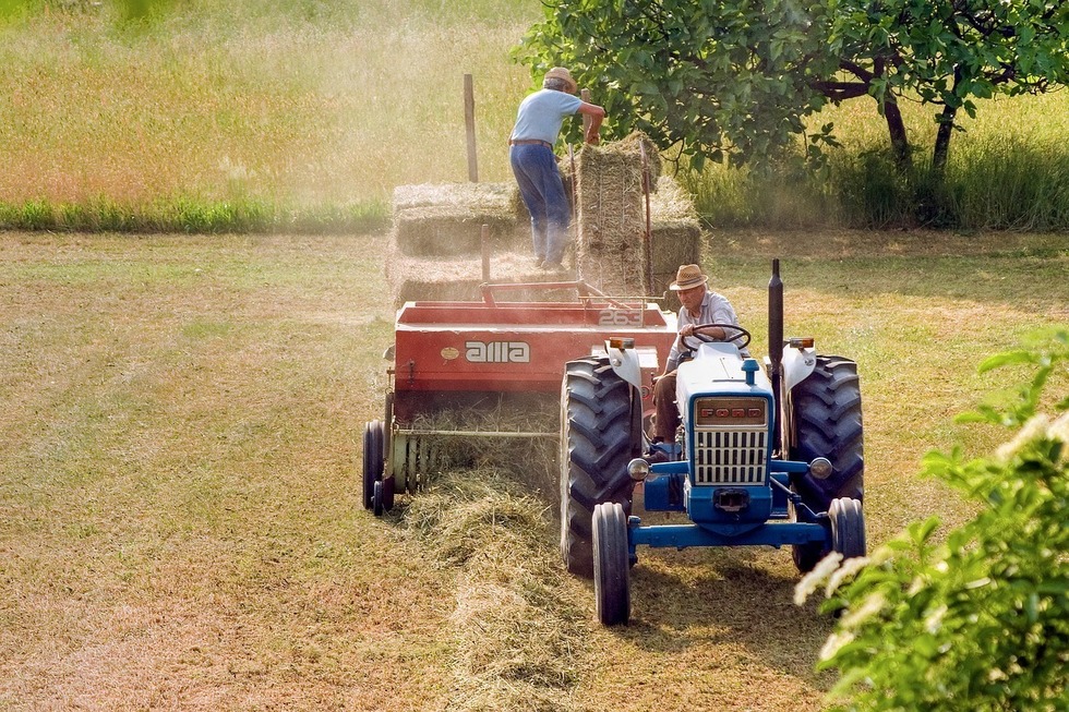 România a fost al şaptelea producător agricol din UE în 2023