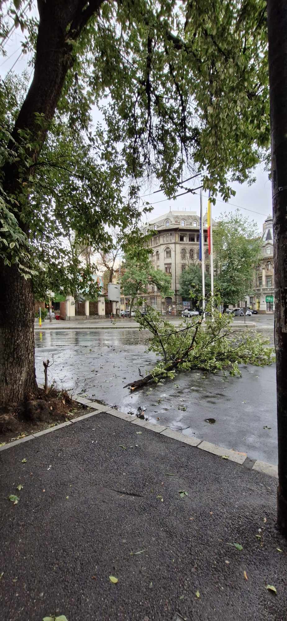 Peste 70 de maşini avariate în Bucureşti şi Ilfov din cauza vântului puternic