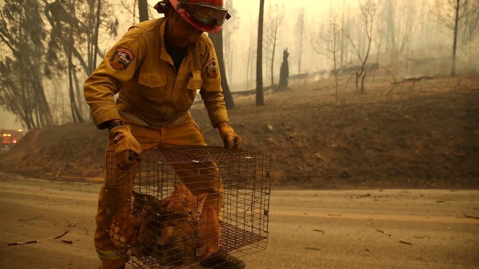 VIDEO. Los Angeles se pregăteşte pentru încă trei zile de foc. Cel mai scump conac care s-a făcut scrum valora 125 de milioane de dolari