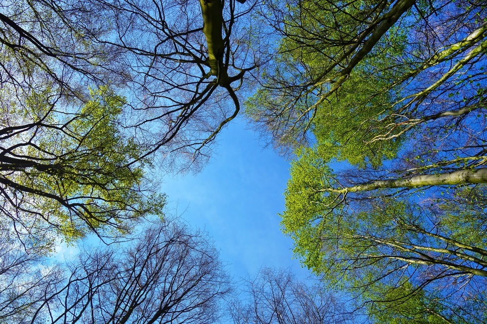 Weekend cu temperaturi de primăvara. De când se răceşte