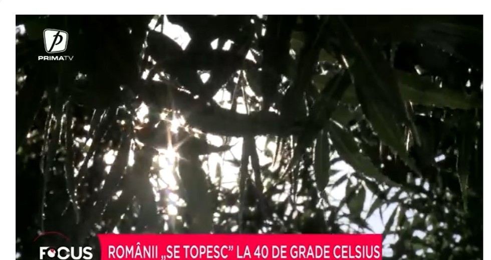 VIDEO. Val de caniculă, vineri, peste România. Se vor atinge peste 40 de grade, la umbră