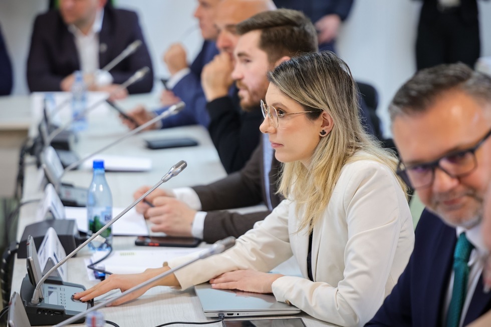 Diana Buzoianu: Suntem sută la sută aliniaţi cu propunerile PSD privind eliminarea privilegiilor