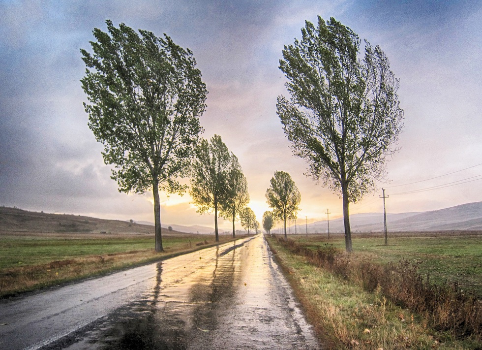 Vremea se răceşte. Atenţionări meteo de ploi şi vânt puternic