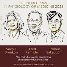 Premiul Nobel pentru Fiziologie sau Medicină 2025 a fost acordat cercetătorilor Mary E. Brunkow, Fred Ramsdell şi Shimon Sakaguchi „pentru descoperirile lor privind toleranţa imunitară periferică”
