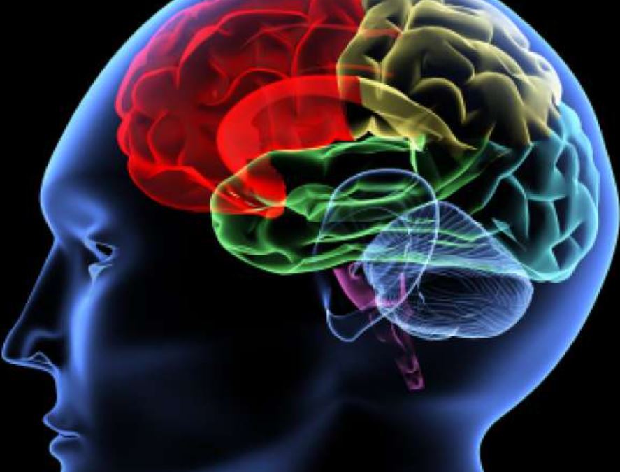 O nouă frontieră a războiului: mintea umană. Oamenii de ştiinţă avertizează asupra noii generaţii de ”arme ale creierului”