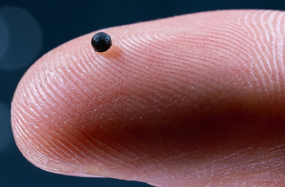 Un microrobot mai mic decât un bob de orez poate revoluţiona tratamentele medicale