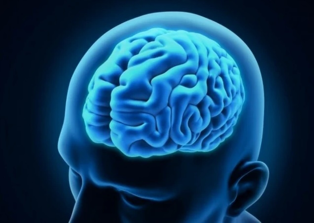 Creierul fetelor şi al băieţilor urmează traiectorii diferite încă din viaţa intrauterină, arată un studiu amplu