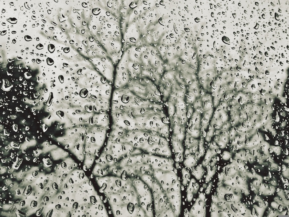 ANUNŢ meteo - Intensificări ale vântului şi ploi în toată ţara. La munte va ninge
