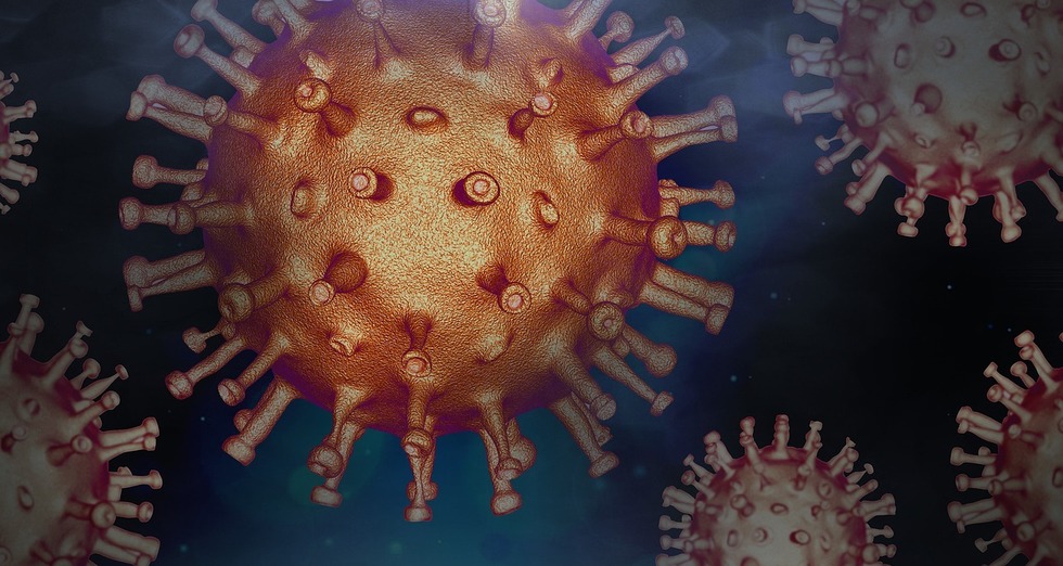 Anunţul OMS despre o posibilă pandemie de hantavirus: „Riscul este extrem de scăzut, nu este un nou Covid”