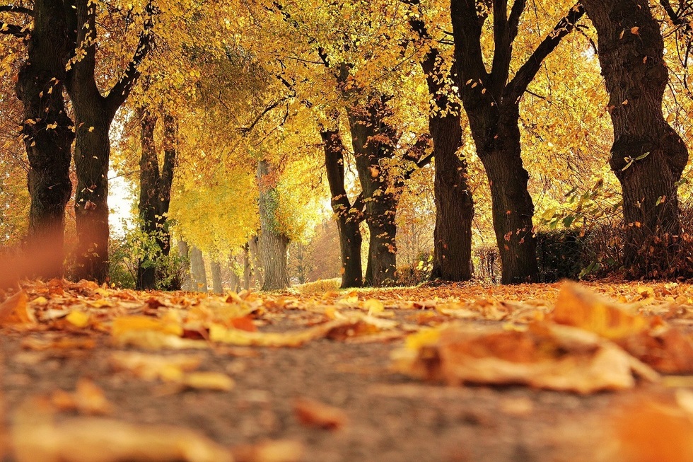 Toamna debutează cu temperaturi mai ridicate decât normalul. Cum va fi vremea în luna septembrie